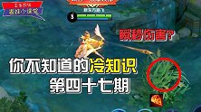 韩信的二技能其实可以一刀回满血的，你知道我是如何出装的吗？