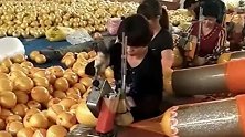 农村大妈快速打包柚子，正确的方法速度能翻倍，真是让人大开眼界！