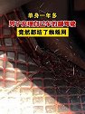 江西南昌：单身一年多，男子发现自己车的副驾驶竟然都结了蜘蛛网