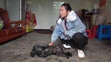 英子去大姐家玩，大姐婆婆人很好很热情，而且黑福也过得很好