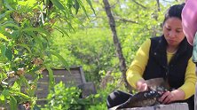 三妹在池子里捞一条鱼，用最好吃的特色做法，鱼肉鲜嫩入味