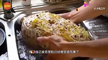 教你自己在家发豆芽，不用废旧的塑料瓶，简单易操作，你学会了吗