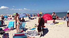 沙滩上出现了几匹马，男子偷偷地摸了一下屁股，下一秒就惨了