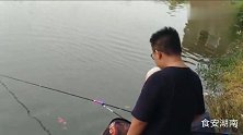 两对钓友战黑坑，拉饵垂钓有口打不中、搓饵接连上鱼