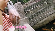 穿越到古代的人间天堂｜广州番禺宝墨园南粤苑 广州人的后花园