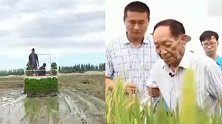 向89岁袁老致敬！袁隆平海水稻安排上了