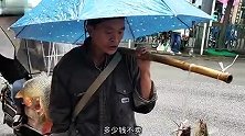 这鱼是用健胃消食片钓上来的吧