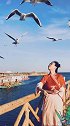 胡杨公主·桥边姑娘