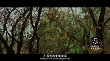 20170324-蝎子交配后为什么吃掉雄性-看鉴地理18