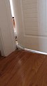 猫：兄弟来救救我，我也想出去玩！
