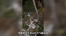 “只有砍错，没有放过”，30岁小伙深夜敲瓜成网红，收入好时月入十几万