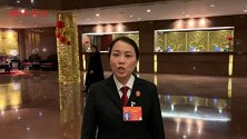 陈海仪：应建立未成年人权益保护与犯罪预防一体化处理机制
