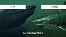 如果沧龙和巨齿鲨正面对决，谁才是最后的王者？