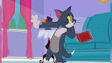 新猫和老鼠：汤姆真窝囊 不敢吃掉小鸟 只能拿它出来玩
