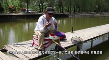 老钓手教你“小药”用量如何把握，只需看3个地方，该多多该少少