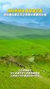 微风卷绿浪 草原暗花香 带你看内蒙古乌兰布统大草原的壮阔#来自内蒙古的春天之邀