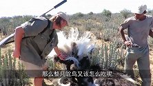 重达50公斤的鸵鸟，要怎么吃俄罗斯大叔演示全过程！