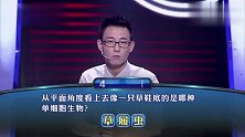 一站到底：防御工事的重要性！明长城西端起点是甘肃省的哪个关？