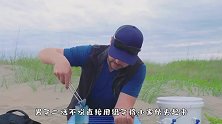 蓝色水母有多毒，男子以身测试，龇牙咧嘴的模样太疼了