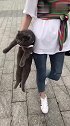 猫：我就算被提着，我也不要自己走回家！