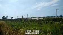 温室大棚的搭建方式会影响大棚稳定性、光照、使用时间