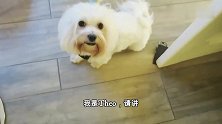 萌翻！Emilia迷上了妈妈的伞，在屋子里都舍不得放下