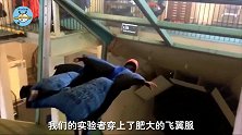 翼装飞行的工作原理是什么，为什么危险性极高？看飞行状态就知道