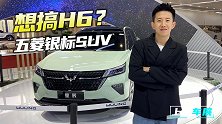 上海车展：五菱银标SUV命名星辰 看完之后你会是它的大海吗