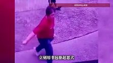 柳州一男孩被黑狗追赶，老奶奶拎着书包边赶狗边护着娃，物业：狗主人身份仍在核查