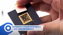 ARM和英特尔分别垄断手机和电脑芯片,RISC-V架构垄断物联网芯片