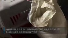业主住宅楼养5头猪气味熏人被举报？物业：系宠物猪，已送走