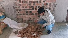 从外婆家带回来的红薯，煮几个尝一尝，看看味道如何？