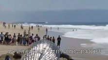 男子海边散步发现一个神秘生物，查看后让人反思！