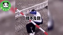 爆笑：你们这样在大街上，还让不让单身狗活了