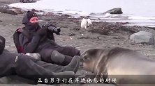 几名男子坐在海边休息，海豹居然爬到他们面前，简直像个孩子一样