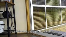 老鹰没看见透明玻璃，一头撞上去捕鸡，镜头记录下全过程！