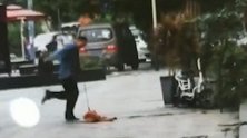 金毛多次被虐疑遭侵犯：志愿者上门理论被打 宠物医生怕被报复