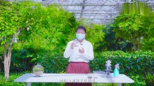 银河劳动课之银河小园丁：咱们一起体验下无土栽培到底是怎样的？