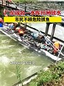 广东茂名：一水库开闸放水，市民不顾危险抓鱼