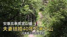 大山里的恩爱夫妻：结婚40年不离深山，牛羊成群，生活幸福