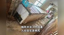 阜阳野生动物园回应20只东北虎死亡：除了病死的动物，其他的都很胖