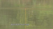 气压太低鱼不开口？把鱼诱进窝，最开始该这样钓！