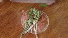 教你用虾和花甲熬海鲜粥，味道鲜极了，每次煮满满一锅不够吃