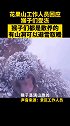 花果山猴子是散养的，实际上可以自己找地方避雪 猴子 冷