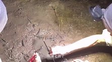 农村大哥户外钓黄鳝，一不留神就没了
