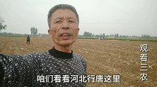 河北行唐这一带，种小麦一亩施多少化肥？比你家用的多吗？