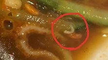 恶心！成都太古里一网红餐馆吃出多条活蛆 监管部门介入