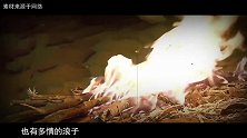 他在中国无人不知，48岁喝酒致死，留下70部价值连城的作品