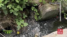村头的污水不见了，这个村完全变样了，用了什么好办法？