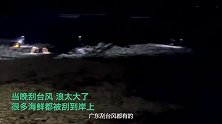 台风“泰利”吹来遍地生蚝等小海鲜，市民：够吃就行，捡了两麻袋